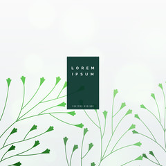 elegant green leaves vector background