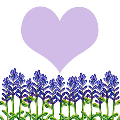 lavender water colour 