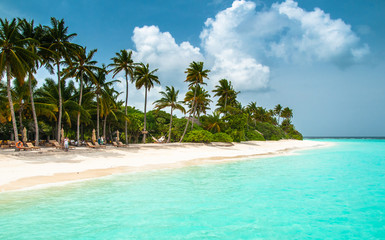 Maldives island. The perfect beach