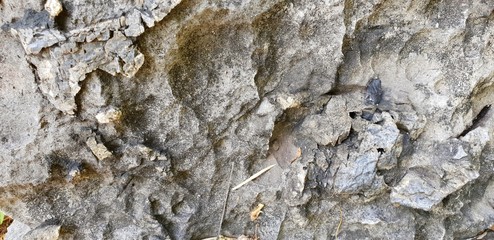 stone texture, Old cracked stone wall background, Rock, concrete background. Empty concept.