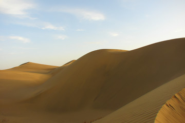 Fototapeta na wymiar bright yellow barkhans of Taklamakan desert at dawn, China
