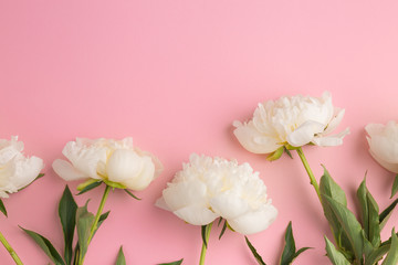 Tender spring flowers on pink background