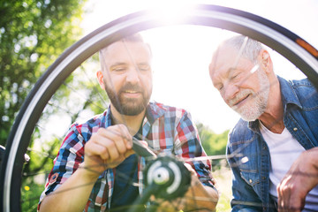 An adult hipster son and senior father repairing bicycle outside on a sunny day.