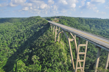 Fototapeta na wymiar Giant bridge over a tropical green forest. Cuba. 