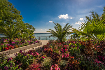 Blumenbeete am Bodensee