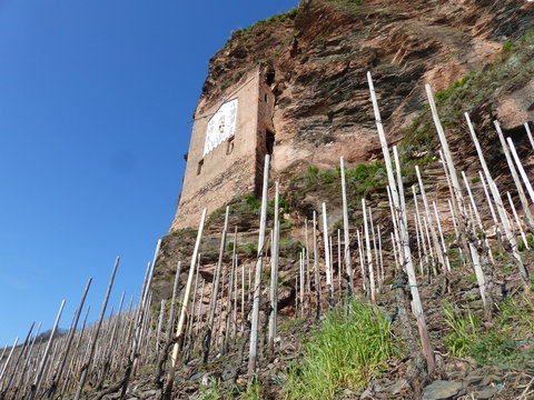 Sonnenuhr im Weinberg in &Uuml;rzig / Mosel