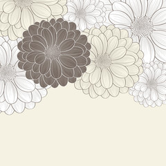 Floral background with flower chrysanthemum. Element for design.