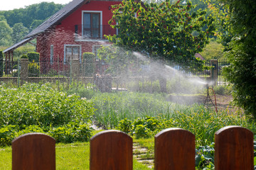 Watering own family garden in the summertime