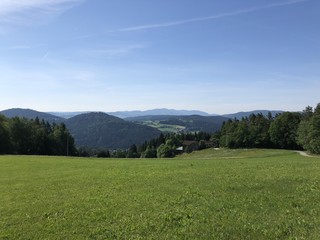 Fototapeta premium Bayerischer Wald