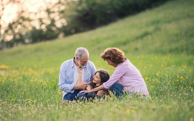 Naklejka na ściany i meble Senior couple with granddaughter outside in spring nature, relaxing on the grass.
