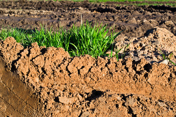 Dug up the ground and green grass