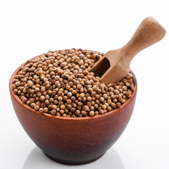 fragrant coriander seeds on a white background