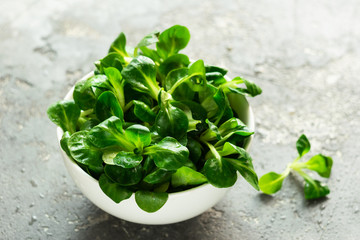A fresh young green salad with corn in a white glass bowl on the kitchen table.Vegetarianism. Close-up. Selective focus.