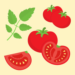 Cartoon flat style tomatoes vector illustration