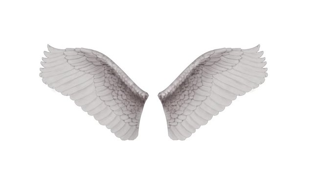 Angel Wings. Looped. Alpha Channel Included.