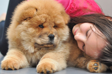 Happy girl play with her puppy in the house. Child and chow chow as a best friends