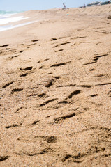 Footprints in the sand on a beach.