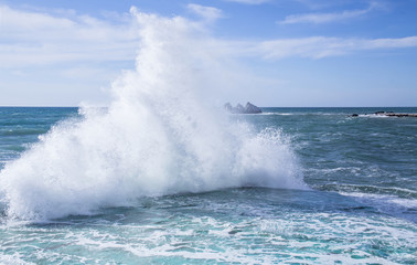sea wave with foam