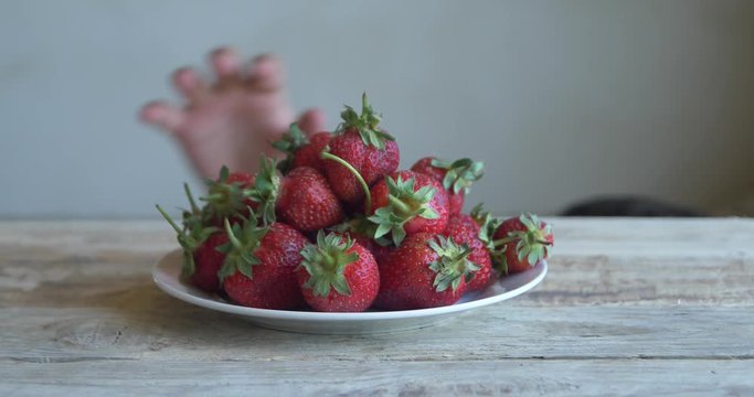 child's hand takes strawberries from a plate