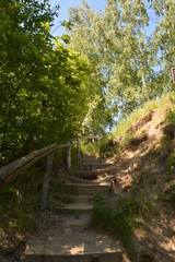 summer, season, sun, sky, heat, nature, greenery, grass, forest, blue, tree, birch, clouds, freshness, yellow, flowers, landscape, stream, spring, water, oxygen, field, mountain, hill, cliff, trail, b