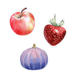 Watercolor set of fruits: apple, strawberry and figs