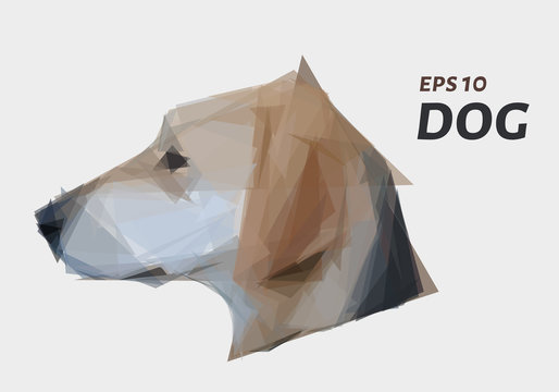 The dog's head is made of triangles. Low poly dog. Vector illustration.