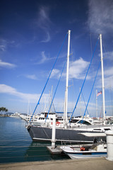 Summer Sea and  Yacht