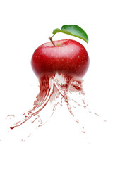 Fototapeta na wymiar the water apple