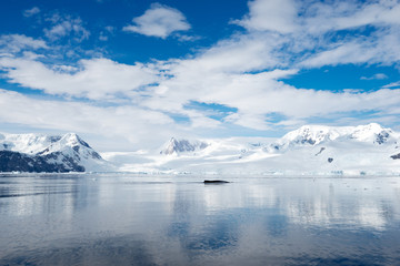 Fototapeta na wymiar Beautiful landscape and scenery in Antarctica