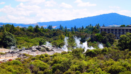 Geyser in Rotorua, New Zealand