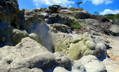 Geyser in Rotorua, New Zealand