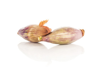 Two peeled green purple shallots isolated on white background.