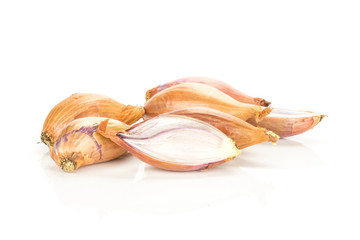 Golden shallots and one sliced half isolated on white background.