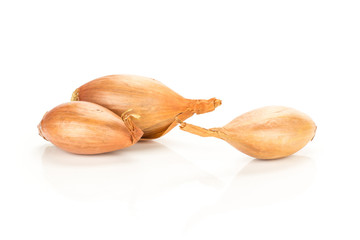 Three unpeeled shallots in golden husk isolated on white background.