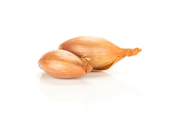 Two unpeeled golden shallots isolated on white background.