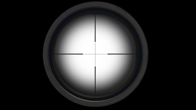 Gun Sight. Looped. Alpha Channel Included.