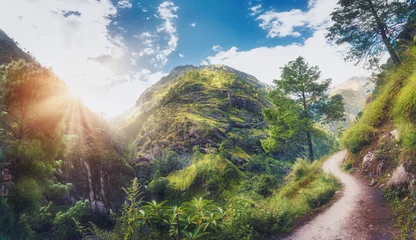 Photo sur Plexiglas Himalaya Incroyable scène avec des montagnes himalayennes couvertes d& 39 herbe verte et d& 39 arbres, ciel bleu nuageux avec soleil, nuages et beau chemin au Népal au coucher du soleil. Paysage panoramique. Vallée de montagne. Voyage en Himalaya