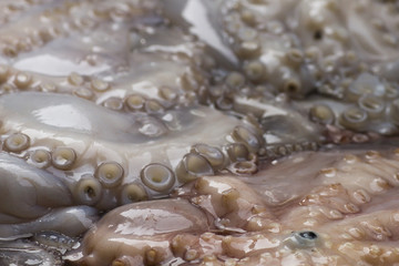Fototapeta na wymiar Octopus flesh in a market 