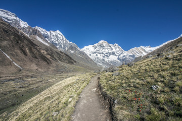 Fototapeta na wymiar Himalaya Annapurna Berge Hiking Pfad
