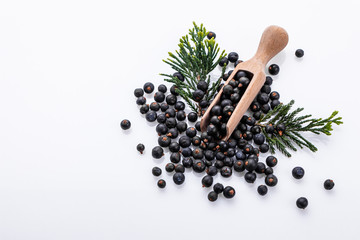 dried juniper berries on a white background © Narsil