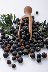 dried juniper berries on a white background