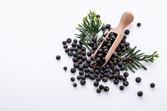 dried juniper berries on a white background