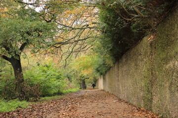 Naklejka premium road