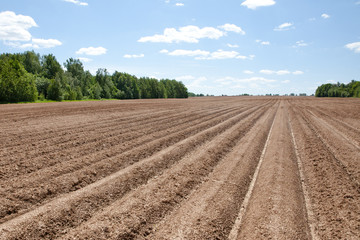 Fototapeta na wymiar ploughed field with furrows
