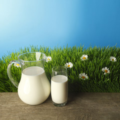 Milk in jar and glass on flower meadow