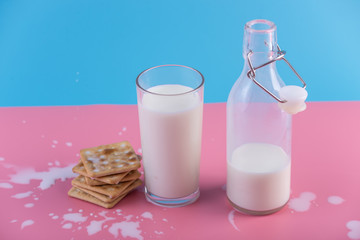 Glass bottle of fresh milk and cookies on pastel background. Colorful minimalism. Healthy dairy products with calcium