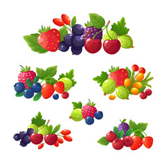 Fresh summer berries. Strawberry, blackberry, blueberry, cherry, raspberry cartoon vector set
