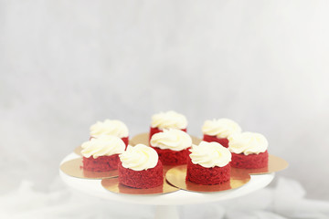 Beautiful festive cake biscuit with different creams