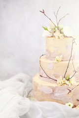 Beautiful festive cake biscuit with different creams