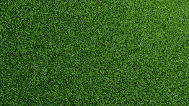Gras Rasen Textur von oben